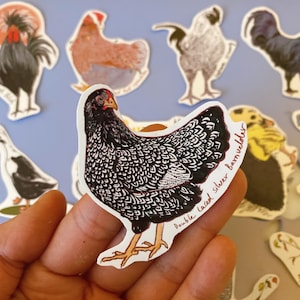 Chicken and duck sticker/sticker pack | Laptop sticker | Laptop decal | Journal sticker | Planner