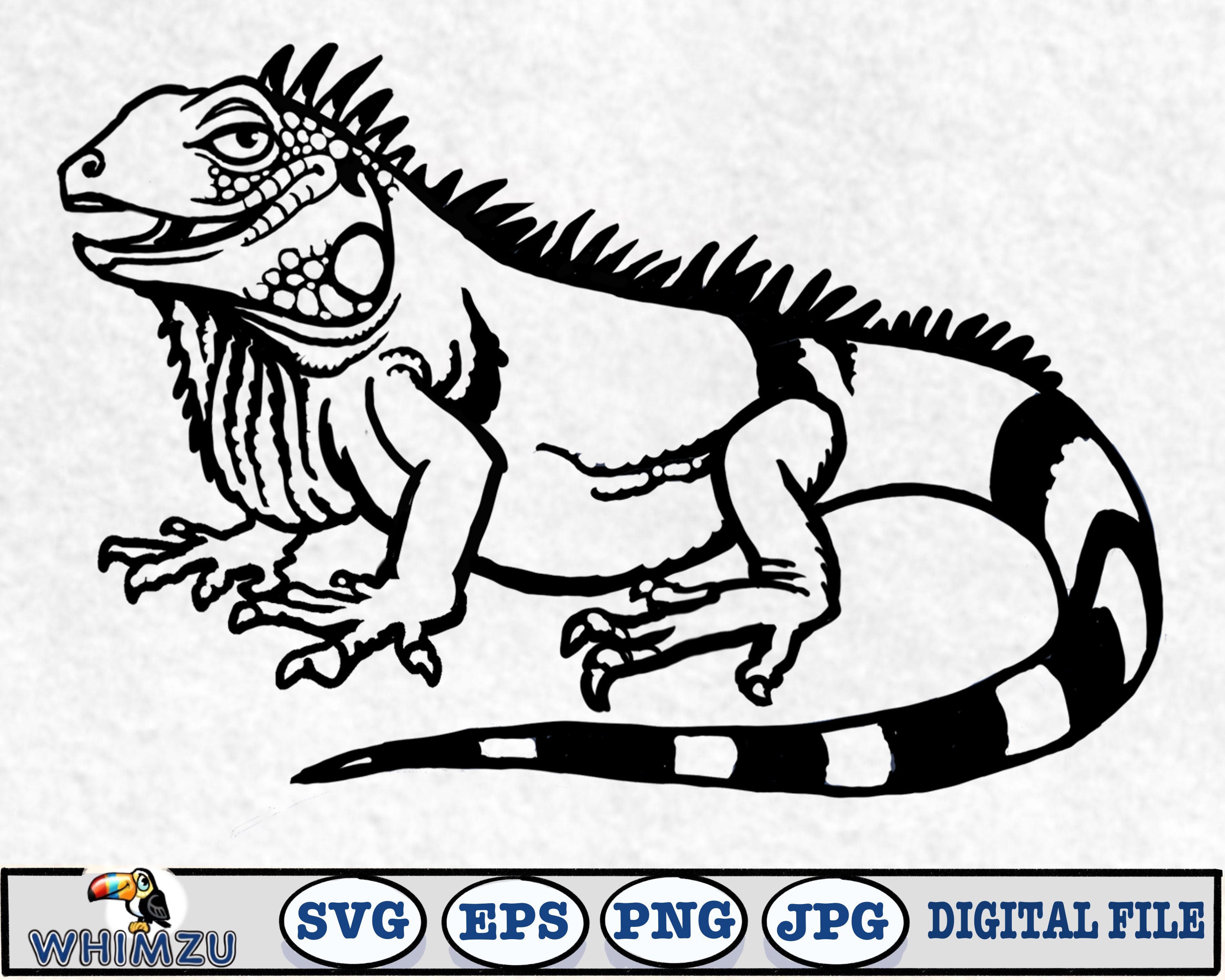 Iguana Lizard Svg Eps Jpg Eps Png Digital File Cricut Etsy