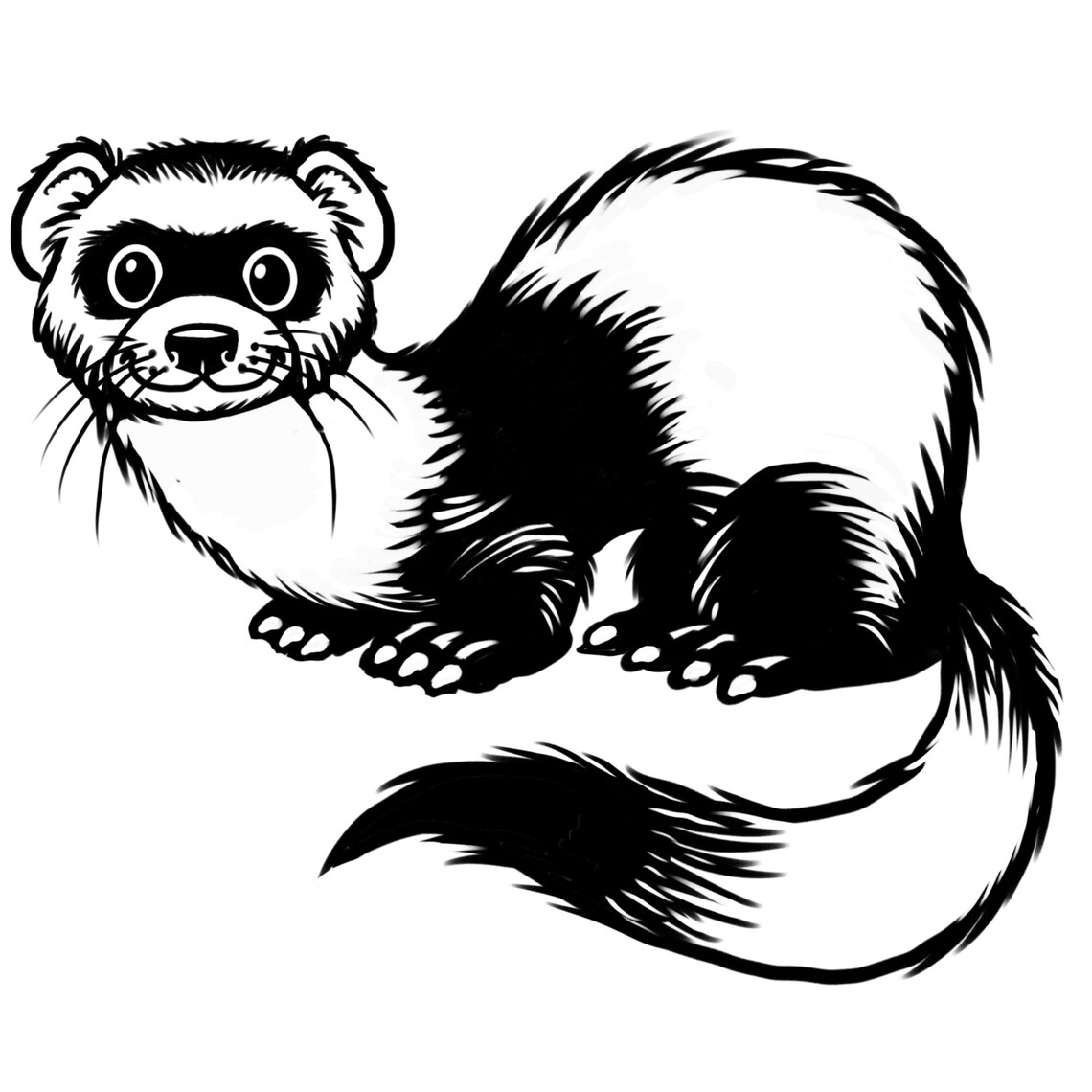 Pet Ferret SVG Eps Jpg Eps Png Digital File Cricut Silhouette Etsy