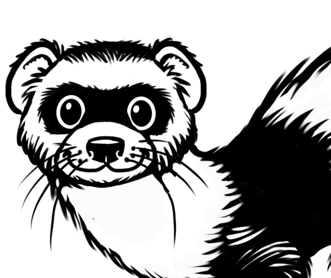 Pet Ferret SVG Eps Jpg Eps Png Digital File Cricut Silhouette Etsy