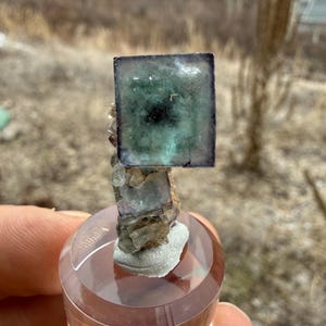 Okorusu Fluorite Thumbnail, Green Zoning, Cubic Crystal on Matrix, Okorusu Mine, Namibia