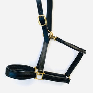 Leather Headcollar, Horse Headcollar, Padded Headcollar, Leather Halter, Leather Horse Tack, Horse Equipment, Pony Headcollar, Horse Riding