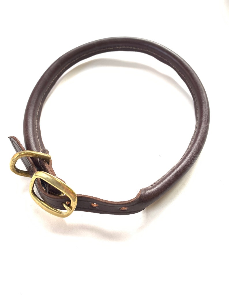 May include: A brown leather dog collar with a brass buckle.