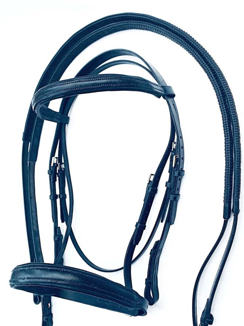 May include: A dark blue leather horse bridle with a browband, noseband, and reins. The bridle has silver buckles and stitching.