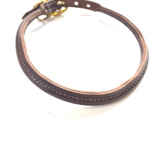 May include: A brown leather dog collar with a gold buckle.