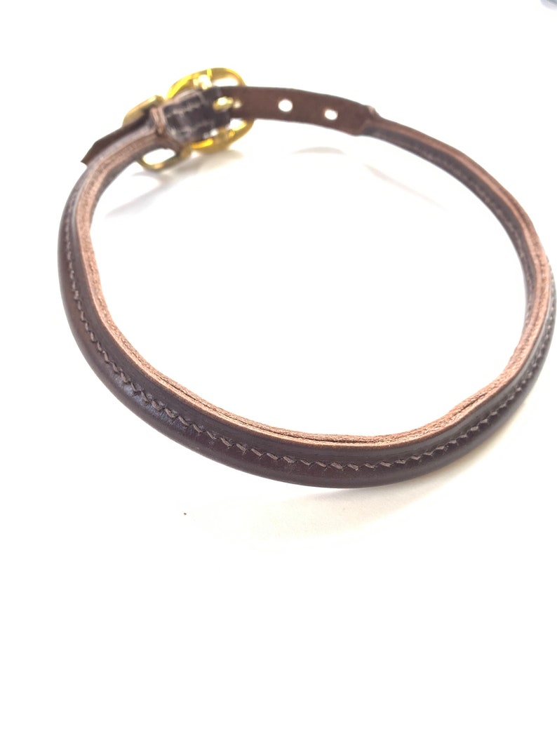 May include: A brown leather dog collar with a gold buckle.