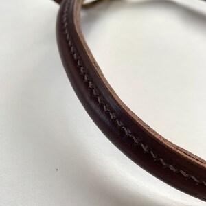 May include: Close-up of a brown leather dog collar with a stitched edge and a brass buckle.