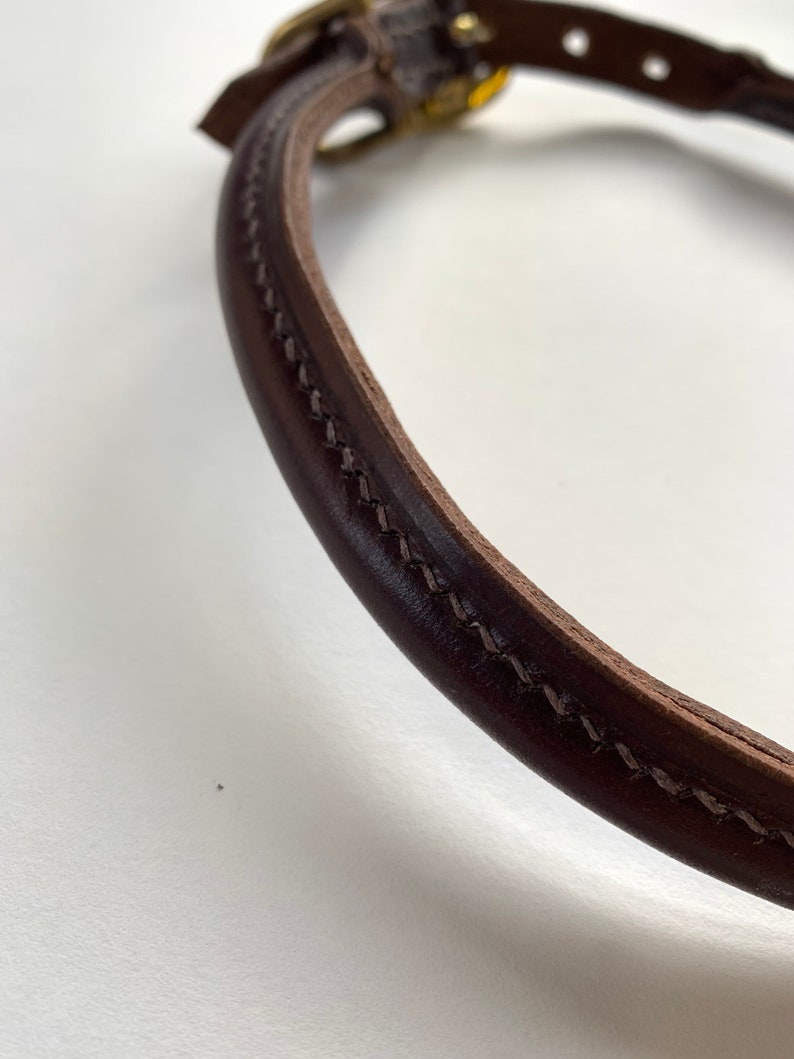 May include: Close-up of a brown leather dog collar with a stitched edge and a brass buckle.