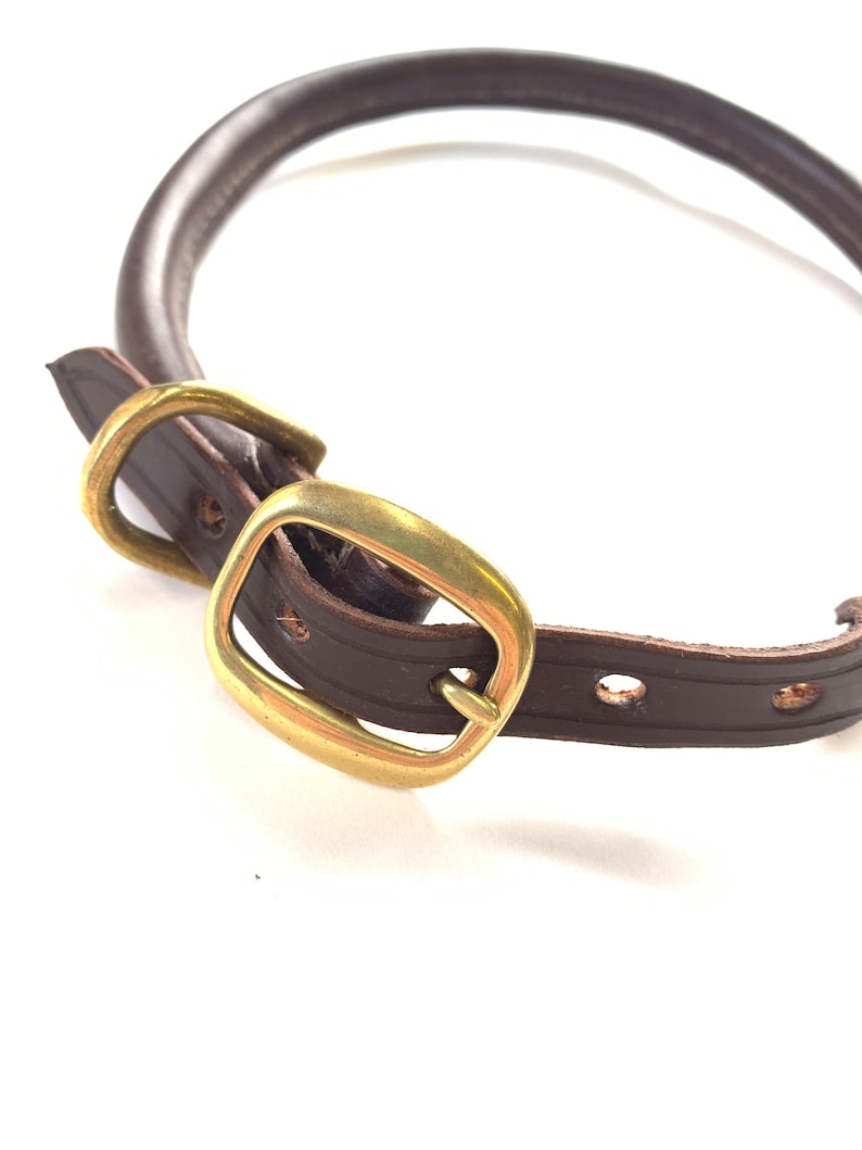 May include: A brown leather dog collar with a brass buckle. The collar is made of thick, durable leather and has a classic design.