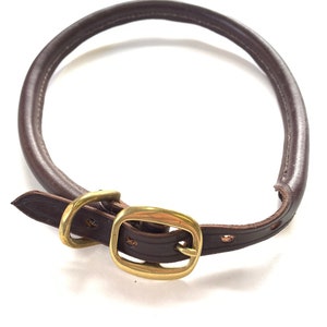 May include: A brown leather dog collar with a brass buckle.