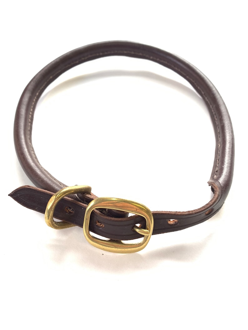 May include: A brown leather dog collar with a brass buckle.