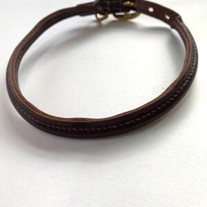 May include: A brown leather dog collar with a gold buckle.
