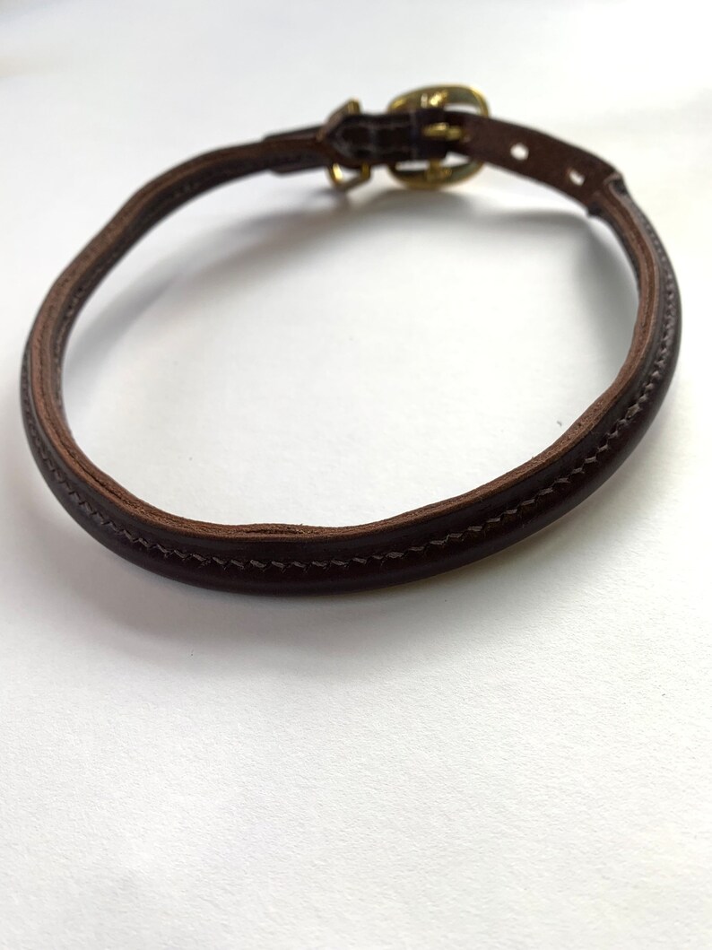 May include: A brown leather dog collar with a gold buckle.