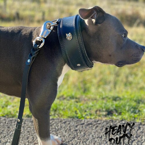 REAL LEATHER collar genuine leather dogs big size pit bull shops all black collar resistant padded elegant collar customizable unique