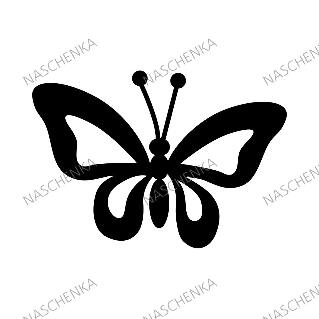 洋書 Butterflies from China, Japan, and Corea Amazon.com: Butterflies from China, Japan, and Corea, Volume