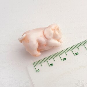 Peut inclure: Une petite figurine de cochon en corail rose, d'environ 4 cm de long, couch&eacute;e sur le c&ocirc;t&eacute;. La figurine est sculpt&eacute;e avec des d&eacute;tails et a une finition lisse et polie.