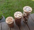 Personalised Dog Treat Jar, Pet Treat Glass Storage Jars, Engraved Pawprint Dog Snacks Container product logo