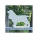 see more listings in the Dogs section