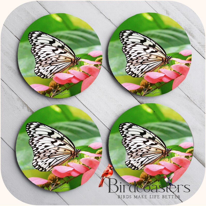 Rice Paper Butterfly Sandstone Coasters, Set of Four, Original Nature ...