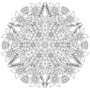 30+ DIGITAL floral themed mandala adult child colouring pages