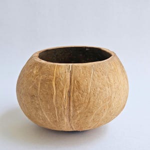 Peut inclure: Un bol rond en coquille de noix de coco naturelle avec un extérieur rugueux et texturé. Le bol a un intérieur brun foncé et un extérieur brun clair. Le bol est vide et repose sur une surface blanche. C'est un récipient naturel et écologique.