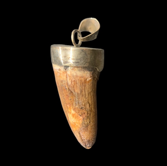 Amazon.com: Bo Shannon Designs Pewter Dinosaur Tooth Pendant : Clothing,  Shoes & Jewelry
