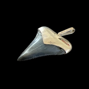 Megalodon Tooth Pendant | Sterling Silver