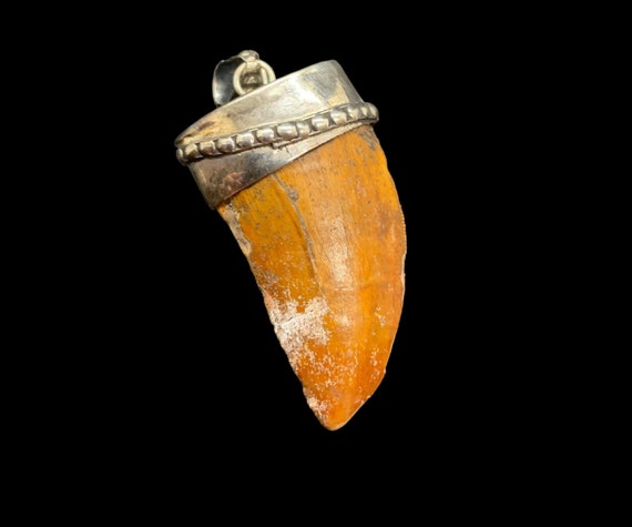 Buy T-Rex Tooth Necklace Wrapped in Antiqued Twisted Oiled Bronze in a  Steampunk Cage Pendant, Tyrannosaurus Real Fossil Dinosaur Tooth Online at  desertcartSouth Africa