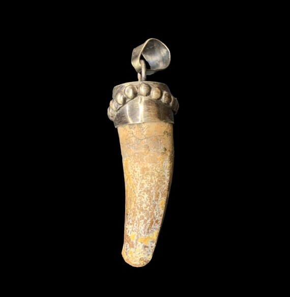 Buy Spinosaurus Tooth Pendant Stainless Steel Dinosaur Tooth, Real Fossil Dinosaur  Tooth Necklace Online at desertcartINDIA