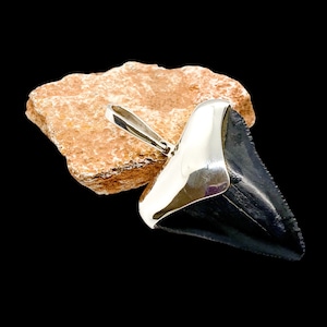 Megalodon tooth sterling silver pendant