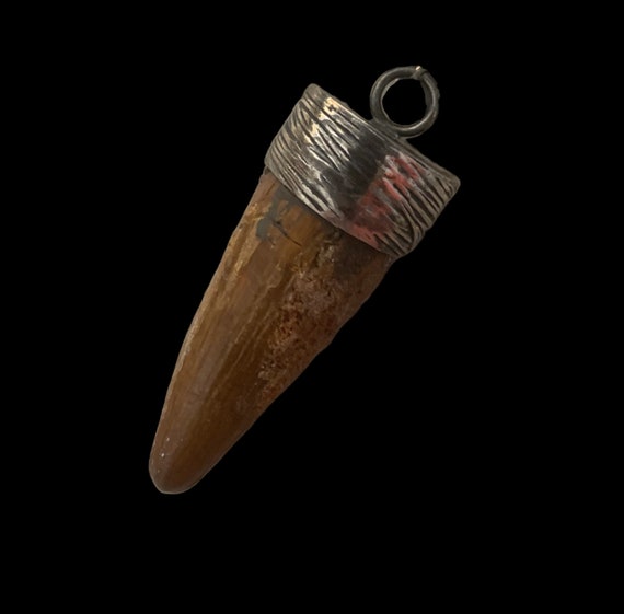 Spinosaurus Tooth Pendant 2