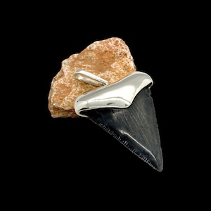 Megalodon tooth steeling silver pendent