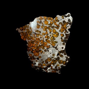 Exquisit Large Pallasite Meteorite Slice | Brenham Pallasite | Brenham Meteorite | Luxury Gift