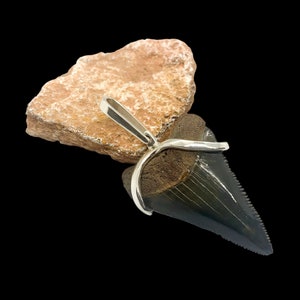 Megalodon tooth sterling silver Small