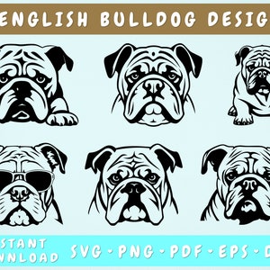 イングリッシュ ブルドッグ SVG バンドル、6 つのデザイン、イングリッシュ ブルドッグ カット ファイル、イングリッシュ ブルドッグ クリップアート、ブリティッシュ ブルドッグ SVG