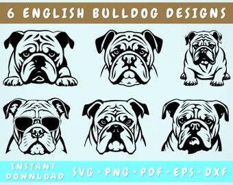 English Bulldog SVG Bundle, 6 Designs, English Bulldog Cut Files, English Bulldog Clipart, British Bulldog SVG