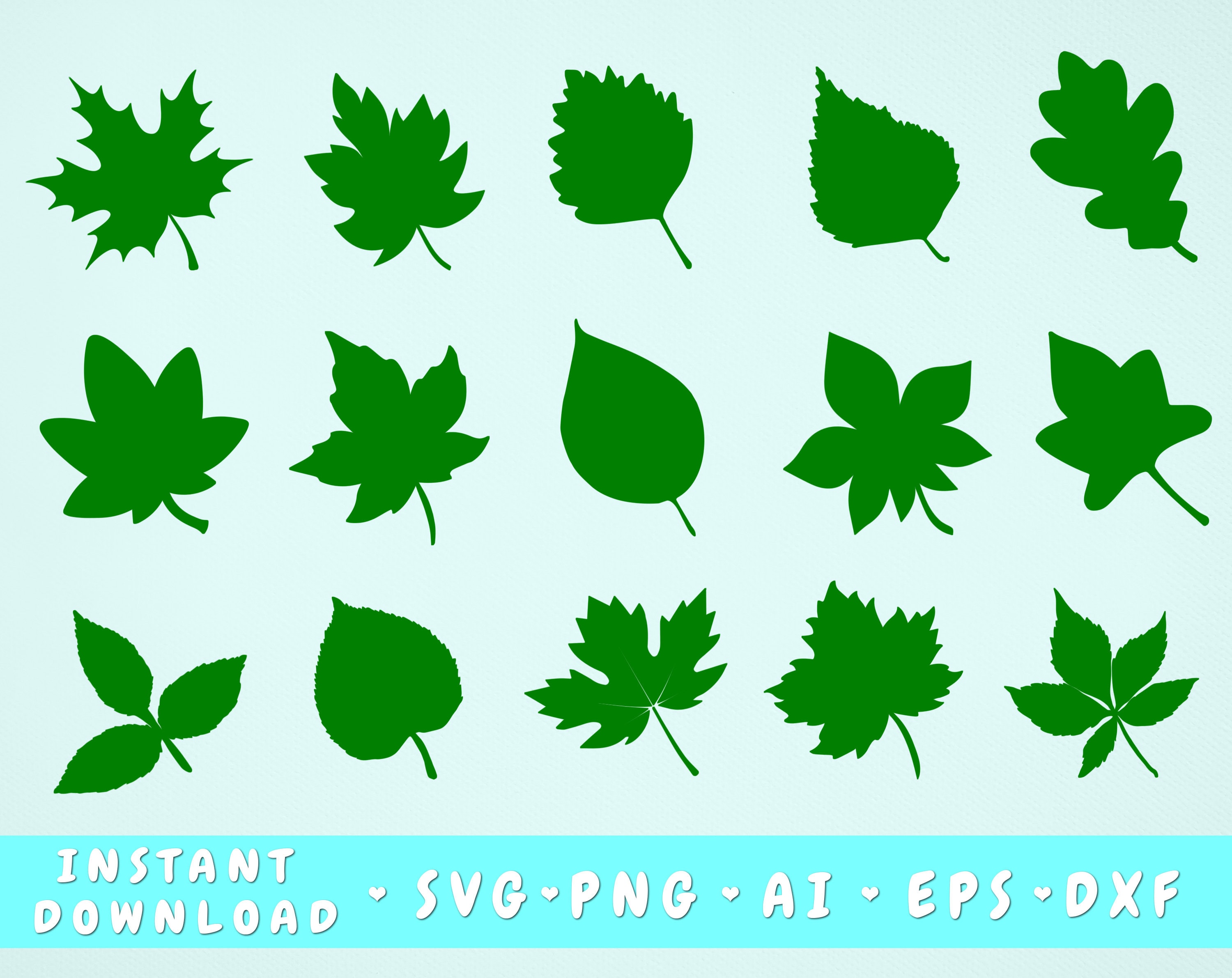 Leaves Svg Bundle - 15 Designs Included, Personal & Commercial, Cut Files Cricut, Silhouette, Maple Leaf Svg, Oak Leaf, Aspen Leaf