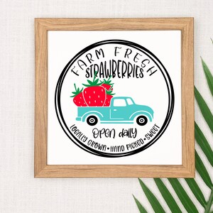 Strawberry Quotes SVG Bundle, 6 Designs, Strawberry Sayings SVG, Funny ...