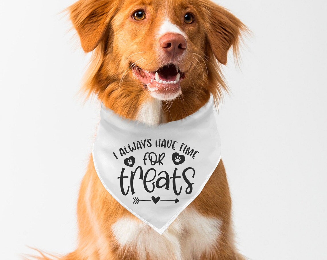 Dog Bandana SVG Bundle 25 Designs Dog Bandana Sayings SVG Etsy Australia