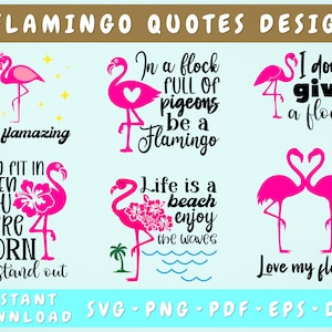 Flamingo Quotes SVG Bundle, 6 Designs, Funny Flamingo SVG, Be Flamazing SVG, In A Flock Full Of Pigeons Be A Flamingo Svg, Love My Flock Svg
