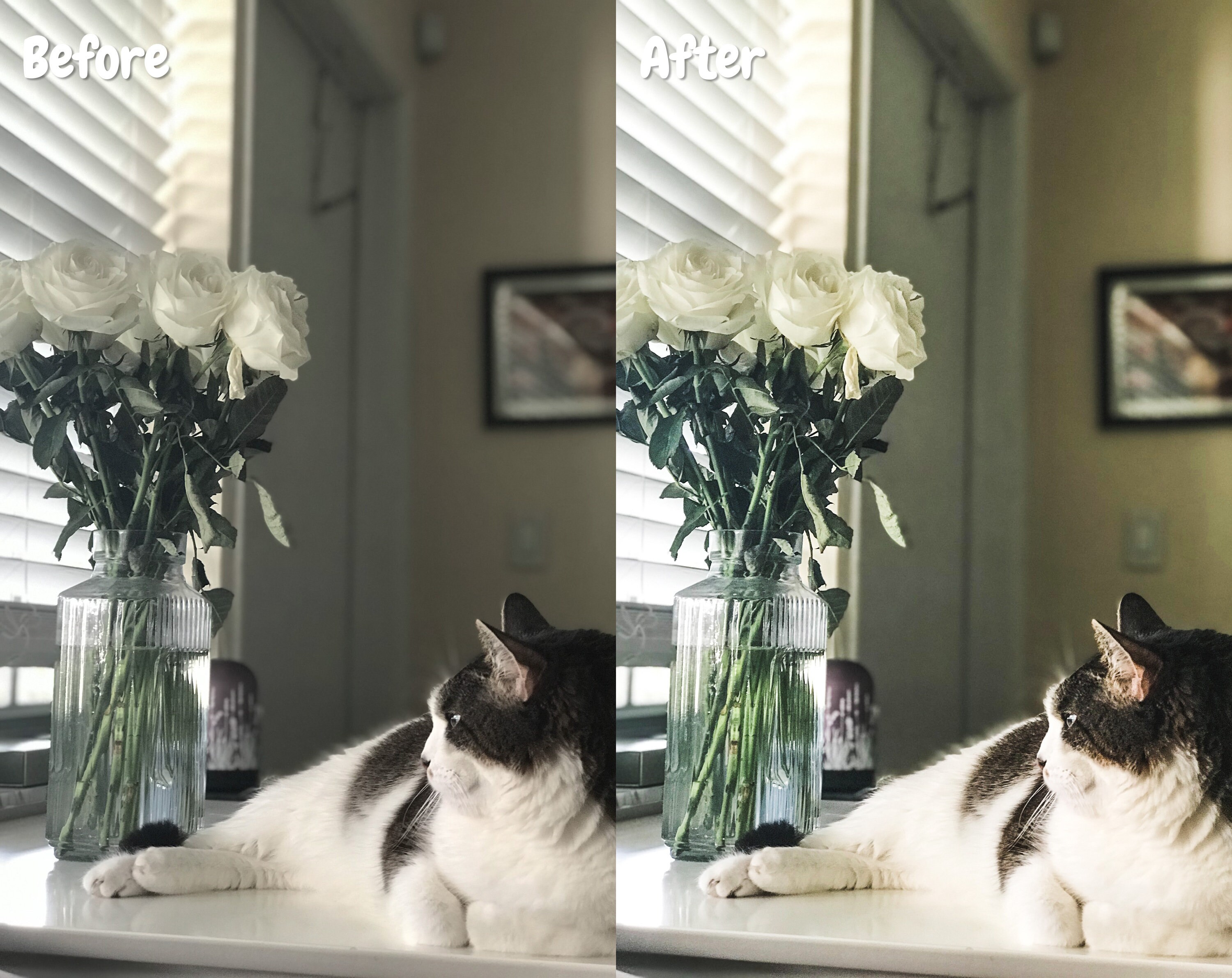 30 Interior Design LIghtroom Presets Lightroom Mobile & | Etsy