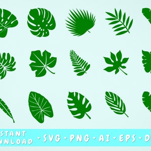 Tropical Leaves SVG Bundle - 15 Designs, Banana Leaf Svg, Monstera Leaf Svg, Palm Leaf Svg, Jungle Leaves Svg, Cricut Cut Files