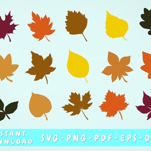 Herbstblätter SVG-Bundle, 15 Designs, Eichenblatt SVG, Ahornblatt SVG, Espe Blatt SVG, Herbstblätter Png, Herbstblätter Schneiden Dateien Cricut, Silhouette