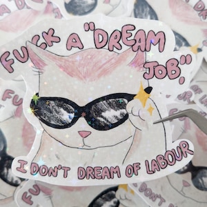 Stickers brillants drôles et cutes | I don't dream of labour | Creative Juice | Fuck this shit | autocollants vinyl | Chat rose cool
