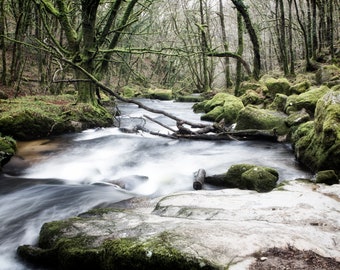 Digital Download: River of Life | Golitha Falls | Bodmin Moor | Cornwall | UK