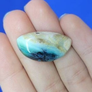 Blue Opalized Wood from Indonesia