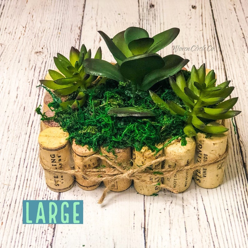 Wine cork planter succulent set wine cork decor succulent Etsy