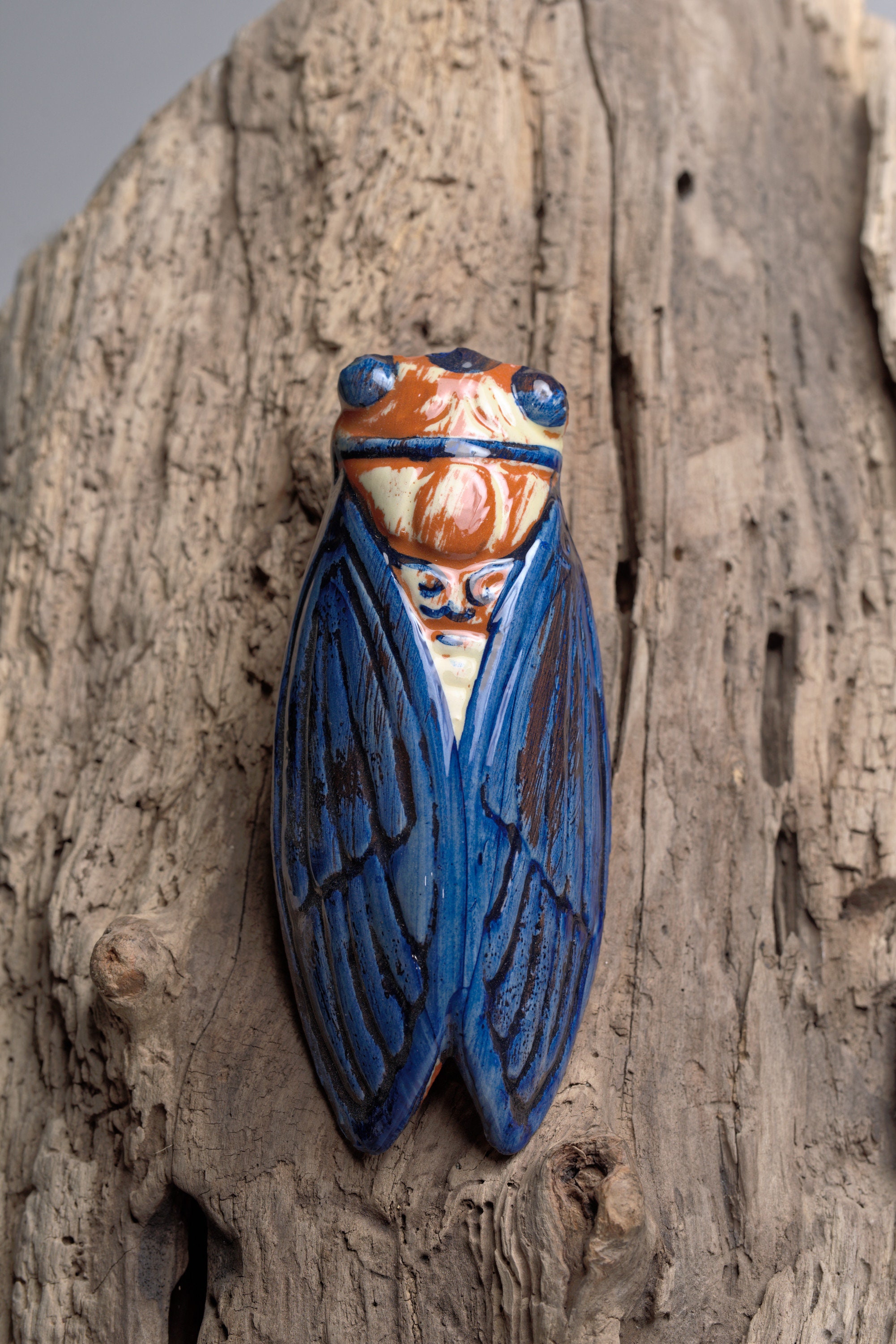 Cicada - Etsy