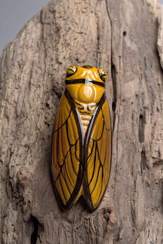 Cicada - Etsy