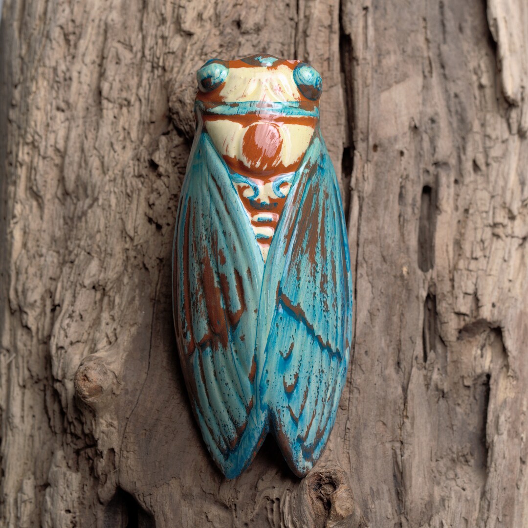 Cicada - Etsy